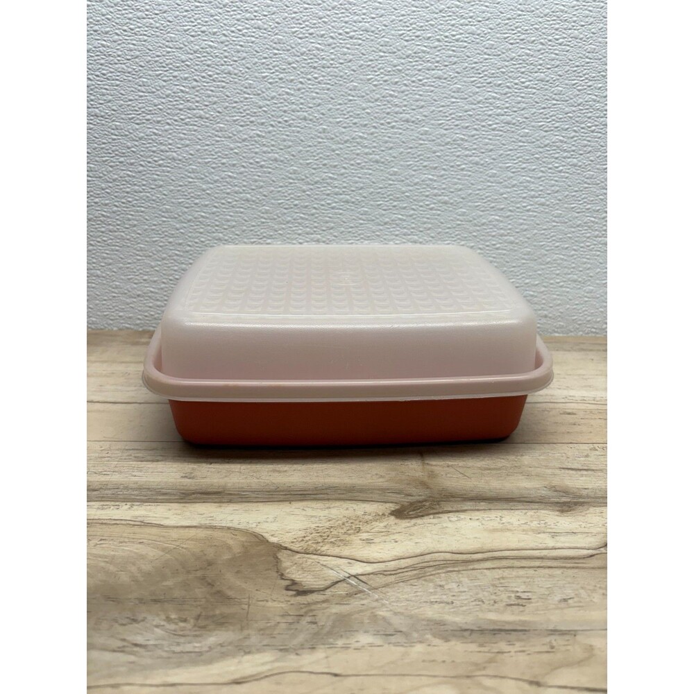 Vtg Tupperware Meat Keeper Marinade Container # 1518-5 With Lid # 1519-6